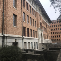 Episode 1: THE OFFICE LABRADOR