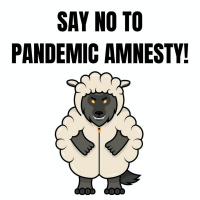 Episode 201: No Amnesty for Amateur Nation