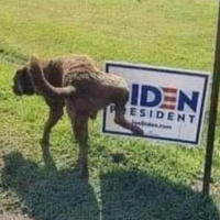 TRAILER: This Podcast Refuses to Get with the Times 