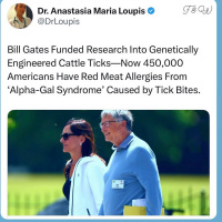 1ST TASTE OF EP. #242: F**k Bill Gates 