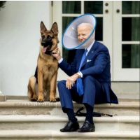 TRAILER: Now with 50% MORE Disinformation! 