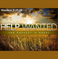 COMPASSIONATE HELP WANTED