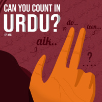 #55 - Can you count in Urdu?