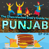 #14 The Disconnected Desis Guide to Punjab