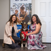 Season Six - Episode One - The Animal Safekeeping Program