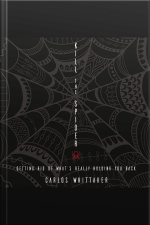 Kill The Spider: Getting Rid Of What’s Really Holding You Back