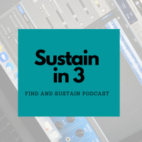 Mini Episode: Sustain in 3 - One