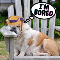 #229 Relaxation Hypnosis for Stress - “LISTEN TO MY BORING VOICE - RELAX  SLEEP (12th March 2021)