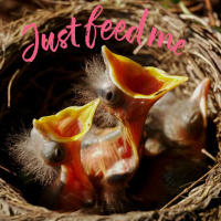 #625 Let me bore you to sleep “MY STOMACH IS HUNGRY” - Jason Newland (29th March 2021)