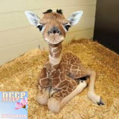 Jason Newland - Free Hypnosis Service