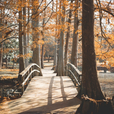 Jason Newland - Free Hypnosis Service