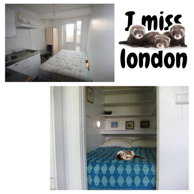 Jason Newland - Free Hypnosis Service