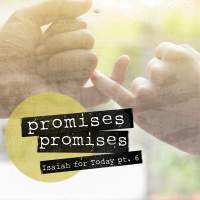 Promises, Promises, Part 3: No Future Without Forgiveness