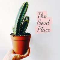 The Good Place Seasons 1 and 2