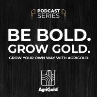 Bold Results with Greg McClure, AgriGold Grower and Mike Kavanaugh, Agronomy Manager