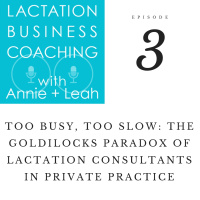 Too Busy, Too Slow: The Goldilocks Paradox of Lactation Consultants in Private Practice