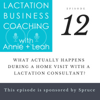 What Actually Happens During a Home Visit with a Lactation Consultant?