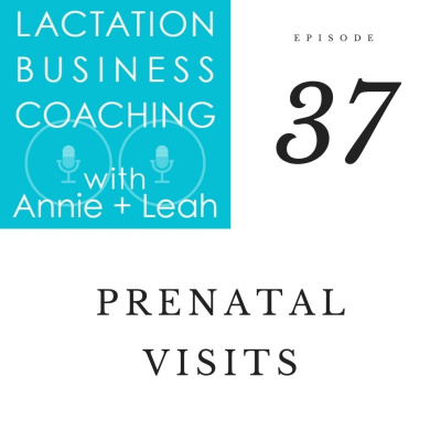 Lactation Business Coaching With Annie And Leah