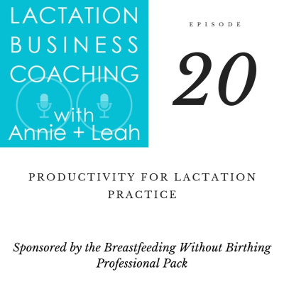 Lactation Business Coaching With Annie And Leah