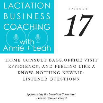 Lactation Business Coaching With Annie And Leah