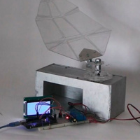 Tradescantia, una reflexión sobre la geometría de la naturaleza - Entrevista a Claudia Valente