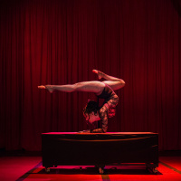 Chicago, Grease y Cats en un show que muestra los distintos dotes del arte de circo