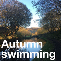 Autumn swimming: What do you need to know?