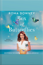 Box Of Butterflies: Discovering The Unexpected Blessings All Around Us