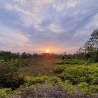 Stupid Tourist EP : (30/100) ครั้งแรกกับภูกระดึง พูดคุยกับพี่ฮ้วงที่ขึ้นภูมาตั้งแต่ปี 2522