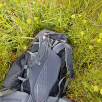 Stupid Tourist EP : (22/100) จัดกระเป๋าเข้าป่าไทย