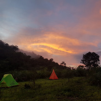 Stupid tourist EP.5 (นอนในป่า)