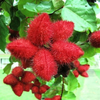 คิดไม่ออก EP : (51/100) สีน้ำรัก แสด กรมท่า น้ำเงิน สวาด มายังไง