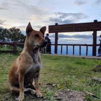 Stupid Tourist EP : (72/100) นั่งรถไฟไปขุนตาล จัดไปหนึ่งใน bucket list