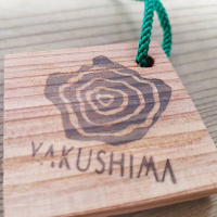 Stupid Tourist EP : (27/100) เล่าเรื่องการเดินทางไป Yakushima เกาะที่แสนมหัศจรรย์