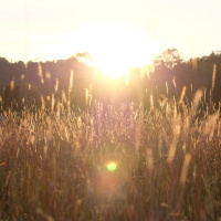 52.5Hz EP : (70/100) ไม่มีใครที่เข้าใจกันเลยสักคนเดียว