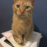 Ep. 4 March 25, 2020