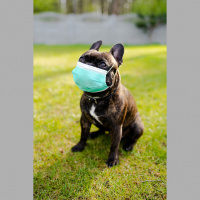 Podcast: Do the Delta Rant!