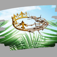 Palmsonntag: Der Friedenskönig zieht ein