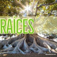 Raices que desarrollan cultura