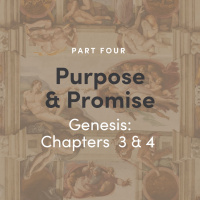 Purpose  Promise 4 - Genesis: Chapter 34