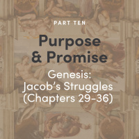 Purpose  Promise 10 - Genesis: Jacobs Struggles (Ch 29-36)