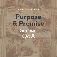 Purpose  Promise 13 - Genesis: QA
