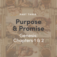 Purpose  Promise 3 - Genesis: Chapter 12