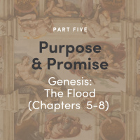 Purpose  Promise 5 - Genesis: The Flood (Ch 5-8)