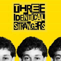 Three Identical Strangers