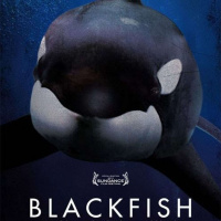 Blackfish