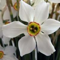 The cycle of the spiritual life