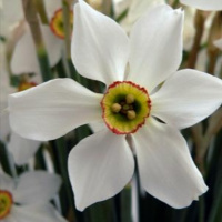 Meditation and transformation: from the individual to the global