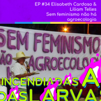 #34. Elisabeth Cardoso  Liliam Telles - Sem feminismo não há agroecologia