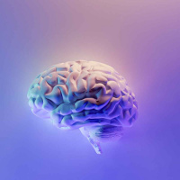 Mapping the brain to understand health, aging and disease